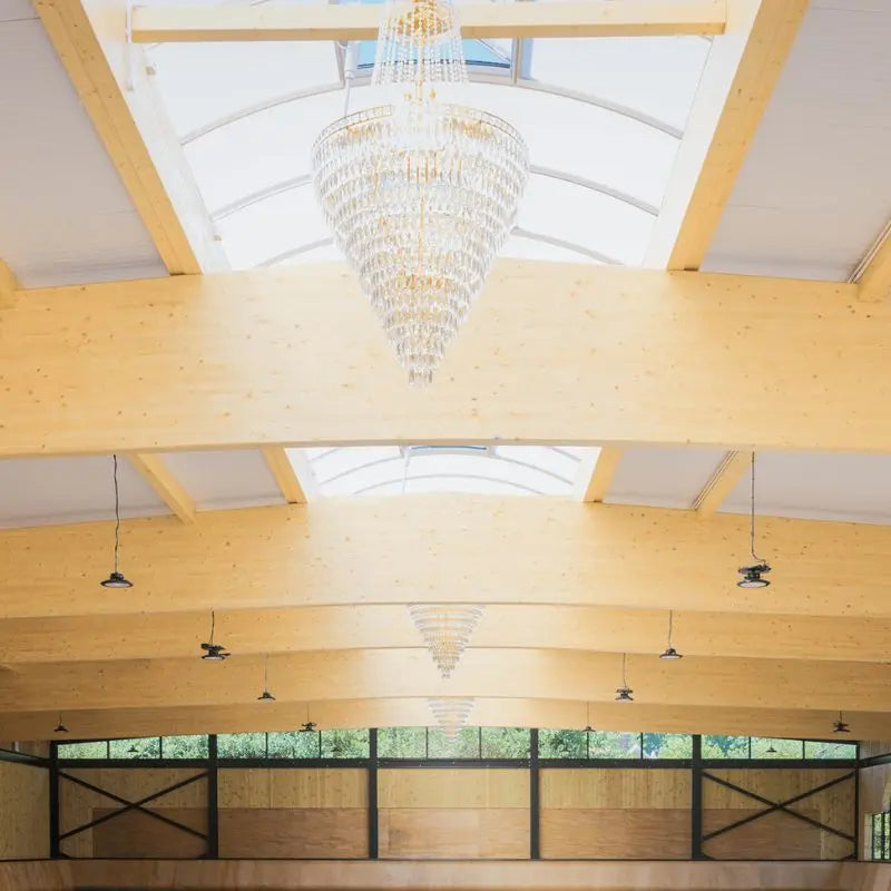 Duplex Villa Crystal Chandelier — close-up design detail