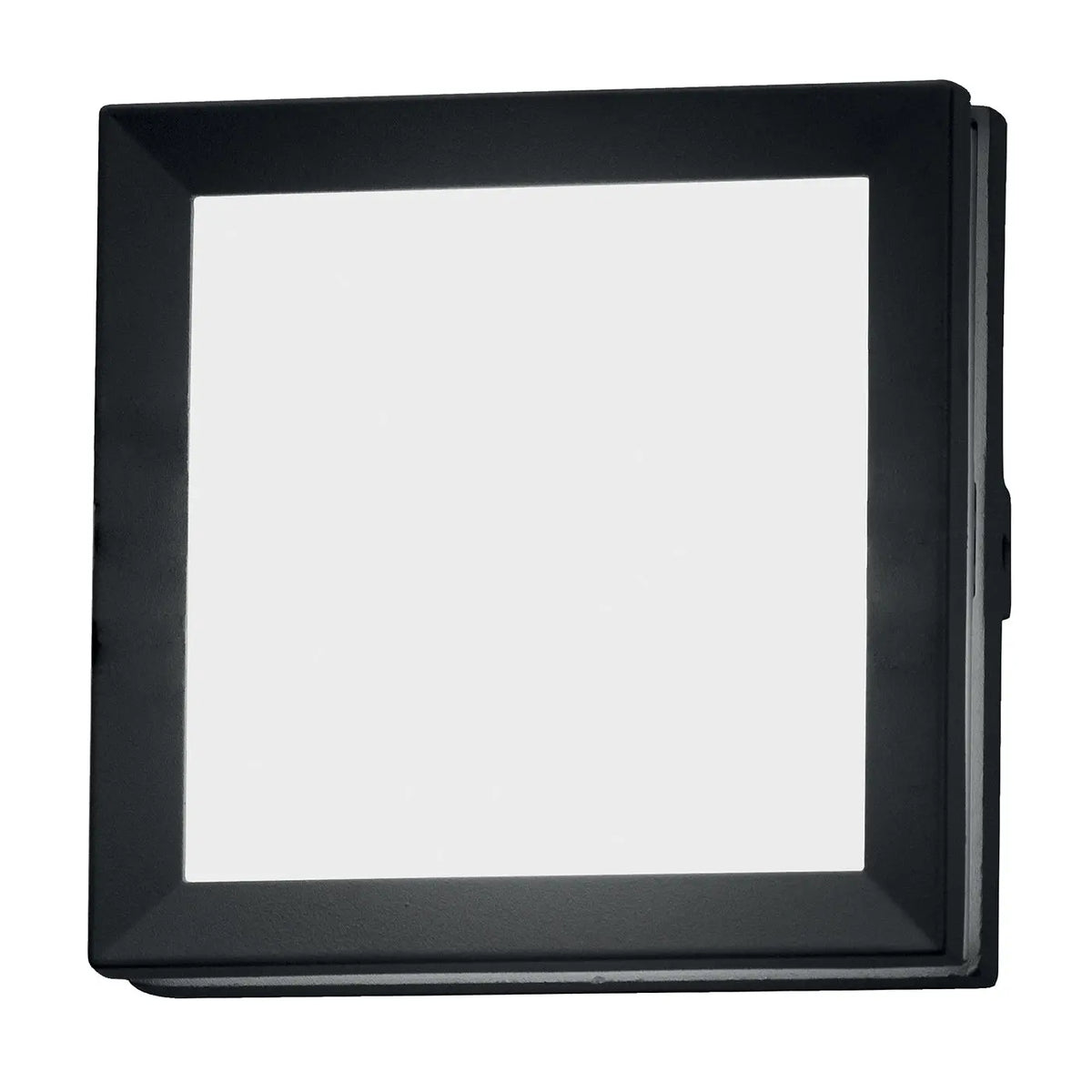 Egil 1 Light Wall/Ceiling Lantern — product view