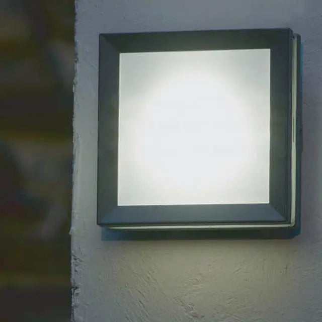 Egil 1 Light Wall/Ceiling Lantern — alternate product view 2
