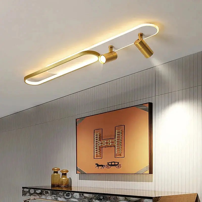 Ceiling Lights With Spotlight — product view